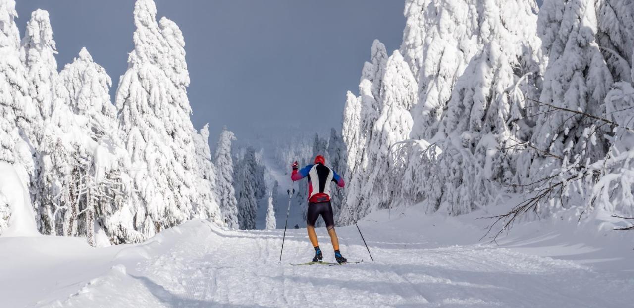 Horska Natura Nove Mesto * Яхимов